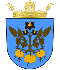 Coat of arms of St. Niam
