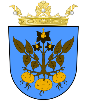 StNiam CoA.png